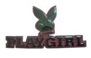 20-playgirl-script-emblems