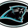 Carolina Panthers Color Auto Emblem