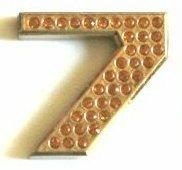 Crystal Chrome Numbers GOLD - 7